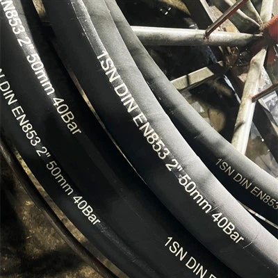 दिन एन853 1सन